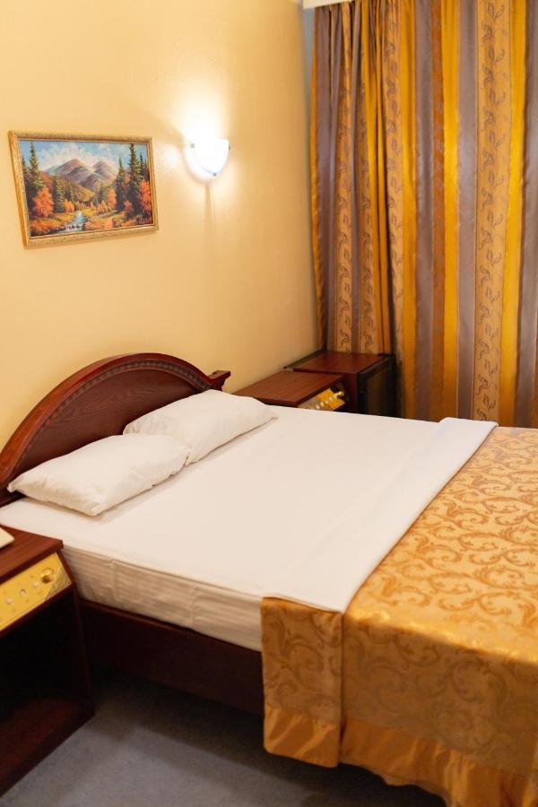 Vila Muntenia Hotel 基希讷乌 外观 照片